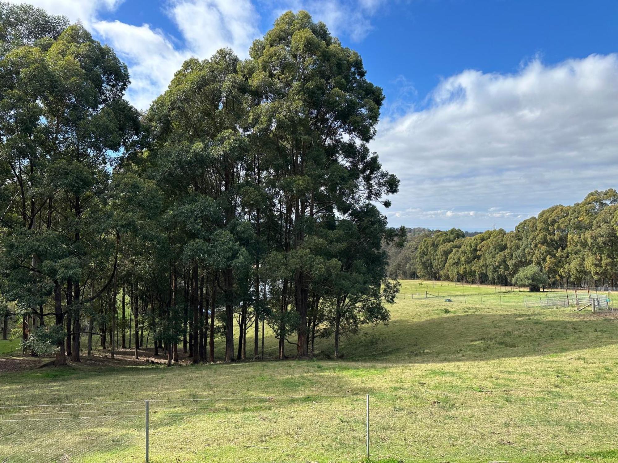 Blueberry Hills On Comleroy Farmstay - Self-Contained Cottages Kurrajong Exterior foto