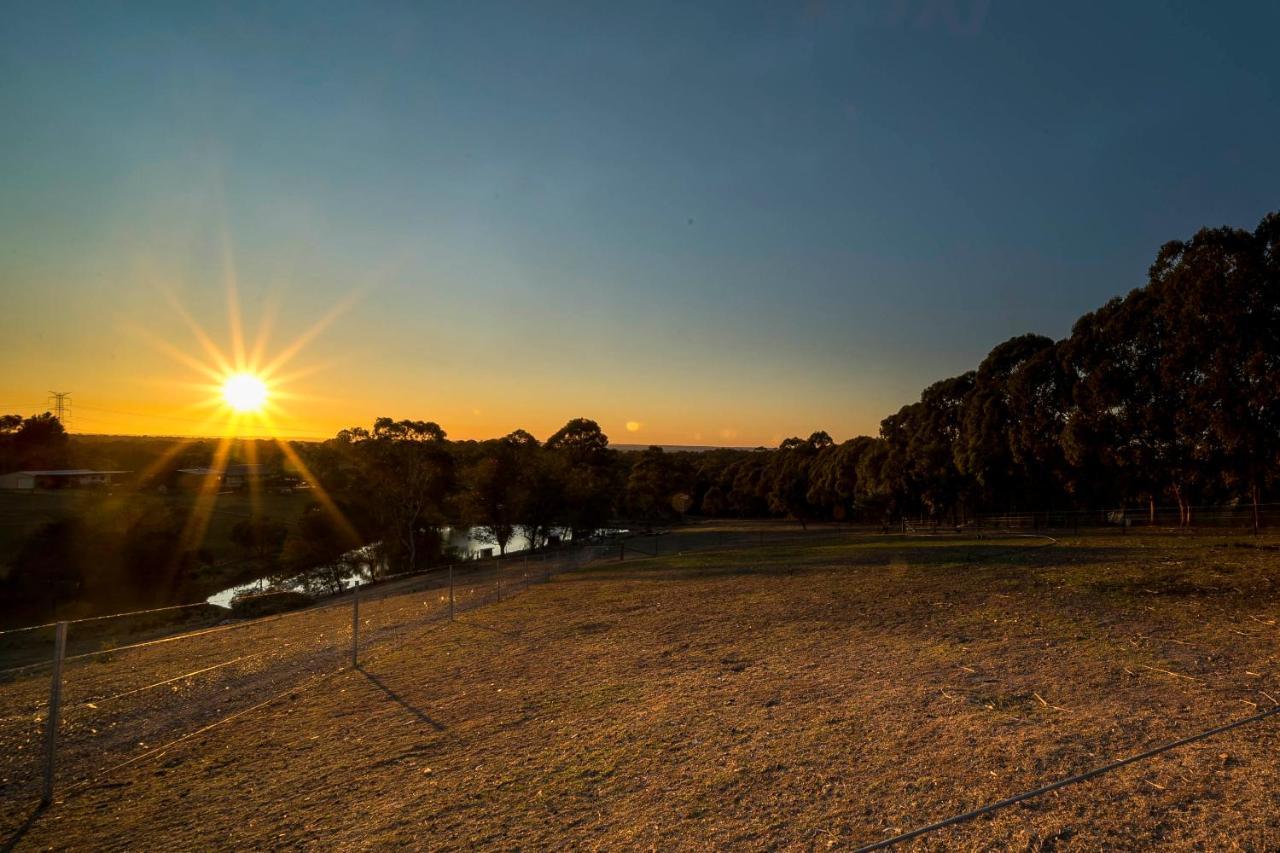 Blueberry Hills On Comleroy Farmstay - Self-Contained Cottages Kurrajong Exterior foto